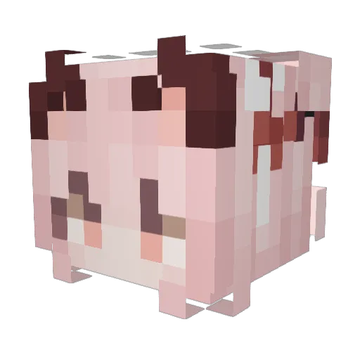 BlandWolf313155 Minecraft avatar head, 3D render
