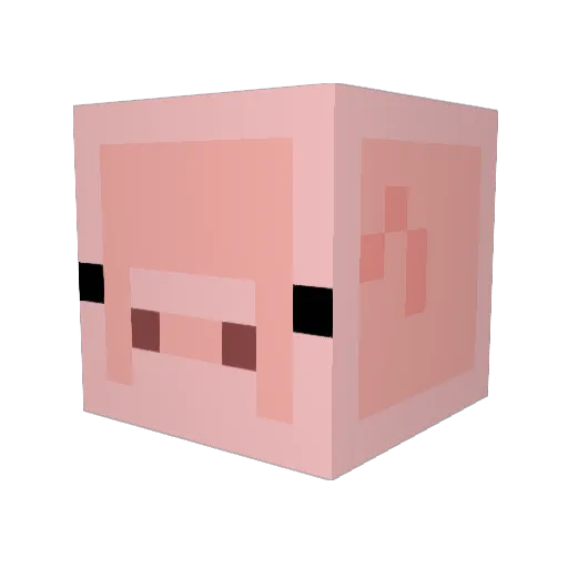 Blandcacao Minecraft avatar head, 3D render