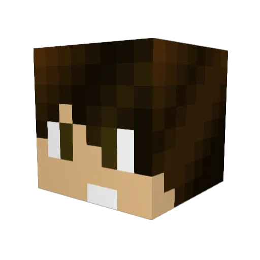 Blanemcg Minecraft avatar head, 3D render