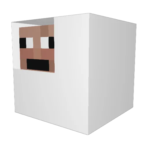 Blank00T Minecraft avatar head, 3D render