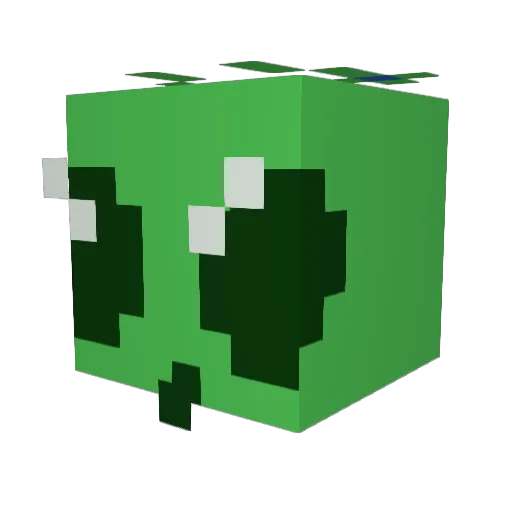 Blank0utname Minecraft avatar head, 3D render