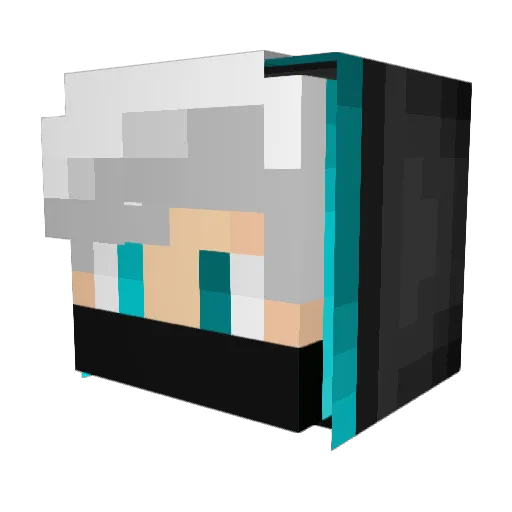 Blank276 Minecraft avatar head, 3D render