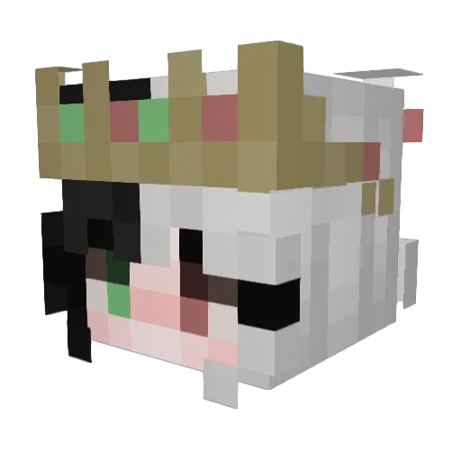 Blank409 Minecraft avatar head, 3D render