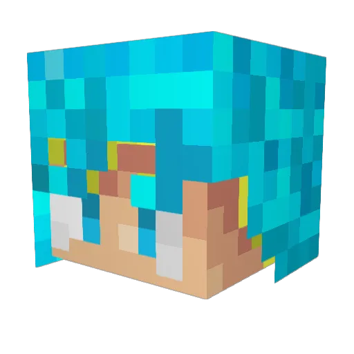Blank70 Minecraft avatar head, 3D render