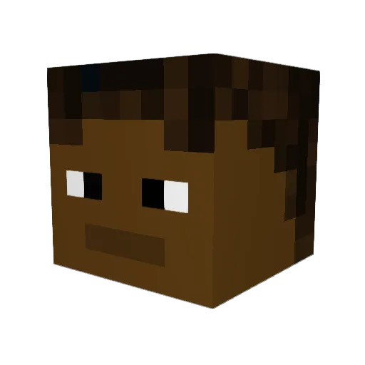 Blank8000 Minecraft avatar head, 3D render