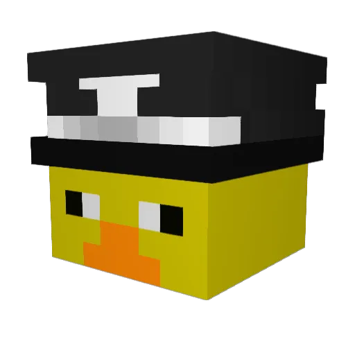 Blank8714 Minecraft avatar head, 3D render