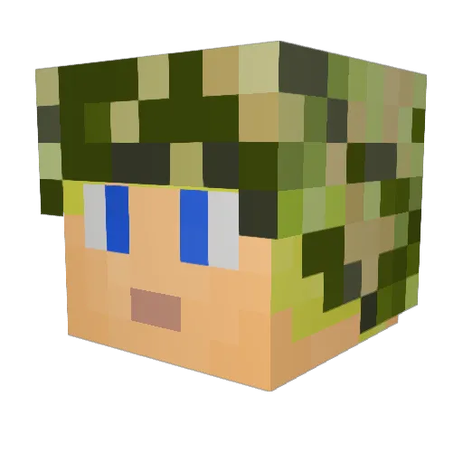 Blank95 Minecraft avatar head, 3D render