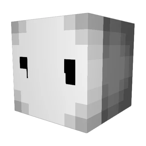 BlankFace1312 Minecraft avatar head, 3D render