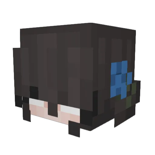 BlankJester Minecraft avatar head, 3D render