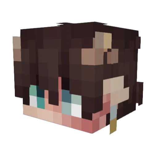 BlankVoid0 Minecraft avatar head, 3D render