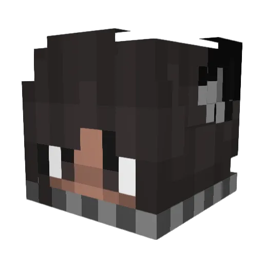 BlankZephyr Minecraft avatar head, 3D render