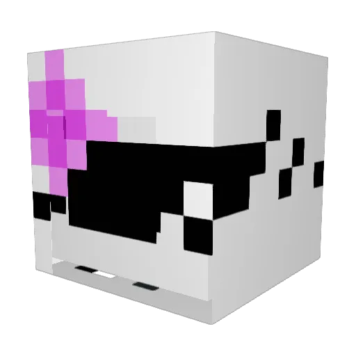 BlankZodiac_31 Minecraft avatar head, 3D render