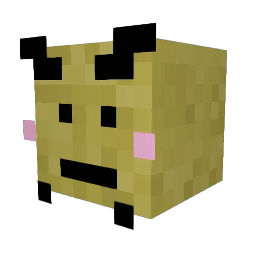 Blank_11 Minecraft avatar head, 3D render