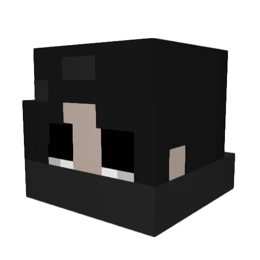 Blank_NgNl_ Minecraft avatar head, 3D render
