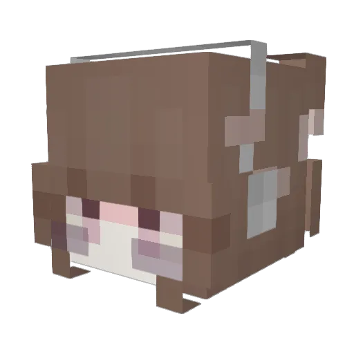 Blanka_silly Minecraft avatar head, 3D render