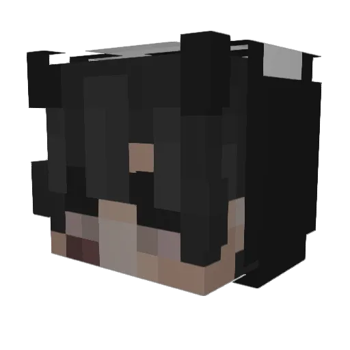 Blankash Minecraft avatar head, 3D render