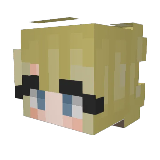 BlanketBurrit0 Minecraft avatar head, 3D render