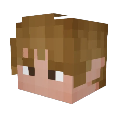 BlanketShields Minecraft avatar head, 3D render