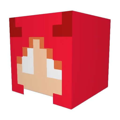 Blanks00 Minecraft avatar head, 3D render