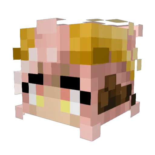Blankyet Minecraft avatar head, 3D render
