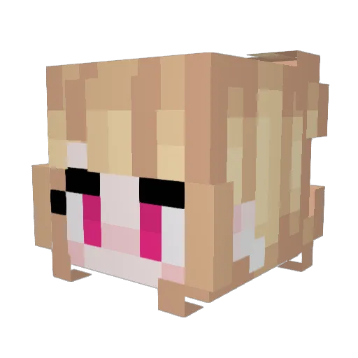 Blanne_ Minecraft avatar head, 3D render