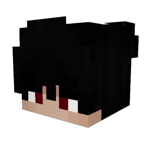 Blarr_ Minecraft avatar head, 3D render