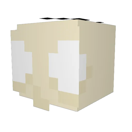 Blartmaster3000 Minecraft avatar head, 3D render