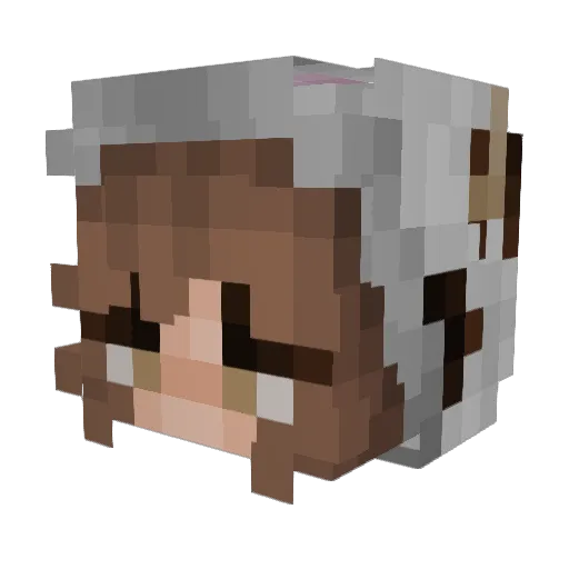 Blasdfaa Minecraft avatar head, 3D render