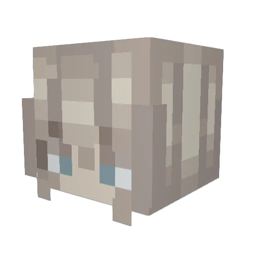 Blassesse Minecraft avatar head, 3D render
