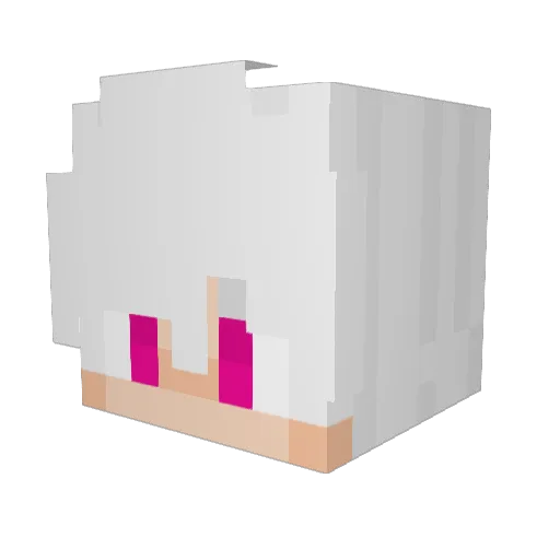 Blasster015 Minecraft avatar head, 3D render