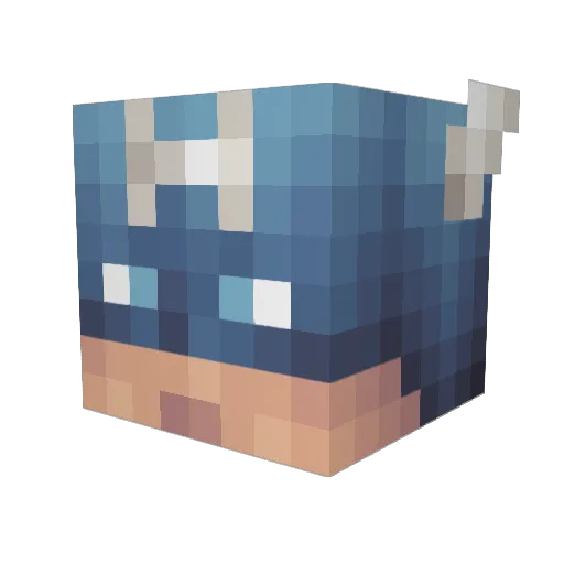 BlasterJaxx1 Minecraft avatar head, 3D render