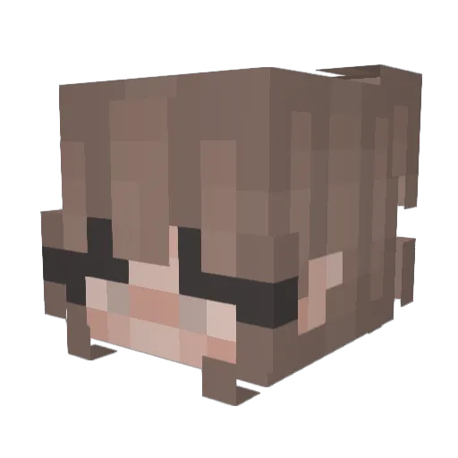 BlastingWig994 Minecraft avatar head, 3D render