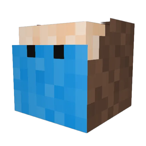 Blastoinkss Minecraft avatar head, 3D render