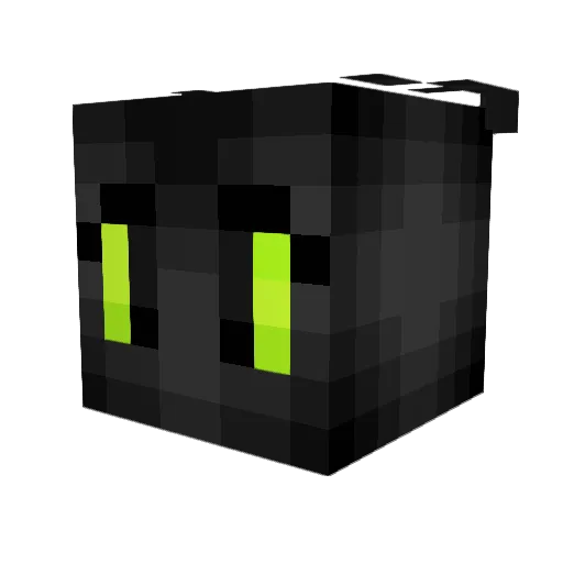 Blatantly_Stupid Minecraft avatar head, 3D render