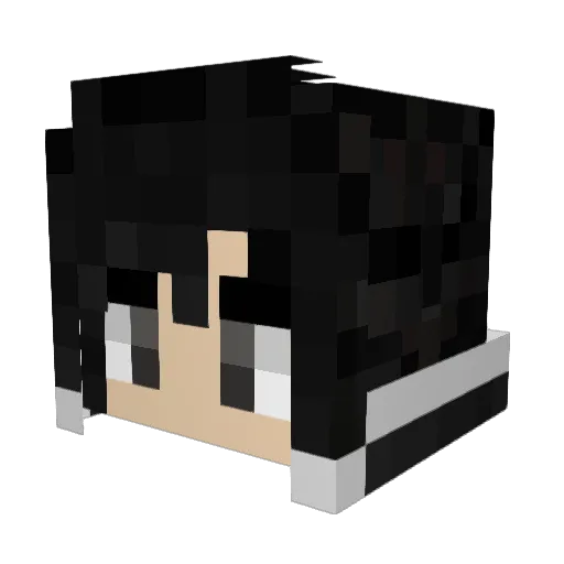 Blauchecker Minecraft avatar head, 3D render