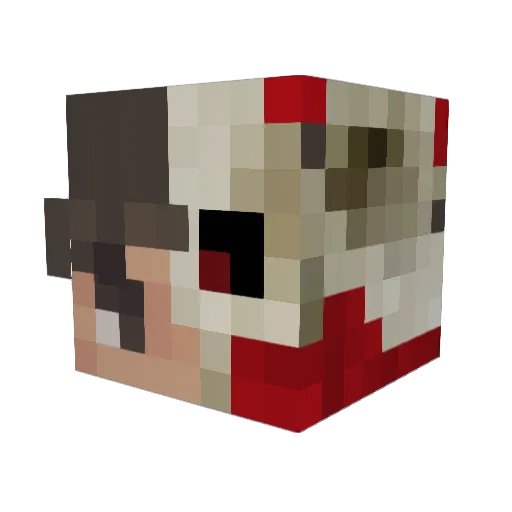 BlaueQualle Minecraft avatar head, 3D render