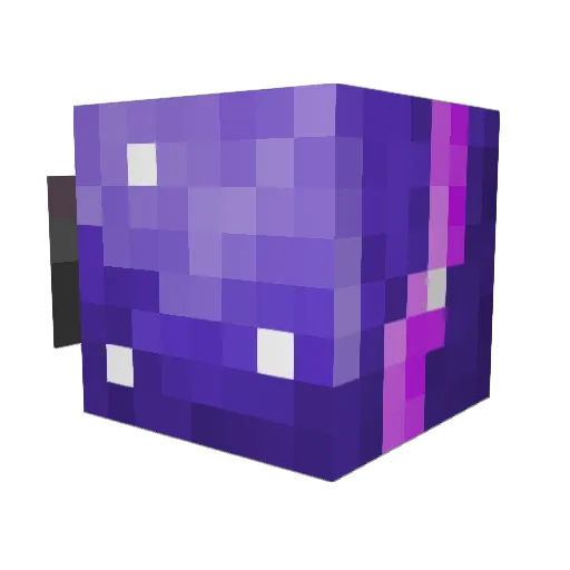Blaze12345678 Minecraft avatar head, 3D render