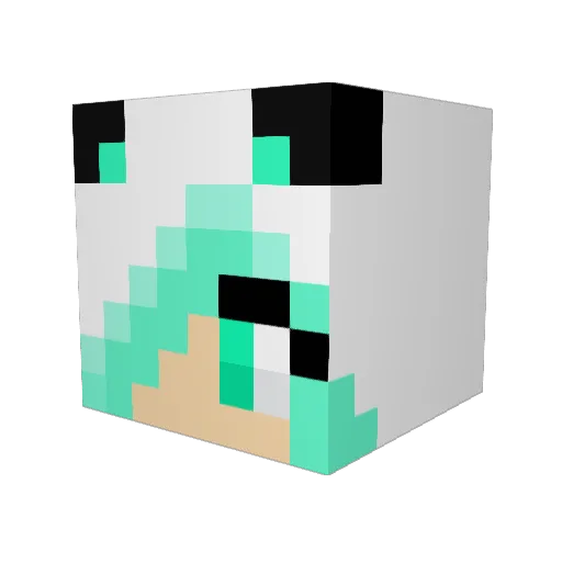 Blaze1554 Minecraft avatar head, 3D render
