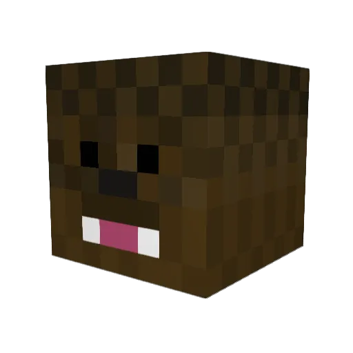Blaze1716 Minecraft avatar head, 3D render