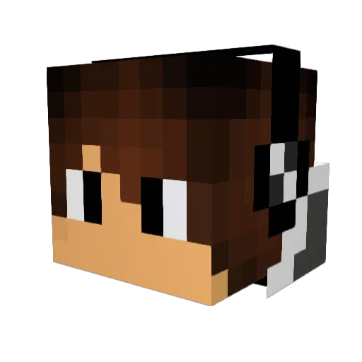 Blaze1761 Minecraft avatar head, 3D render