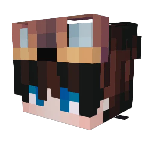 Blaze2031 Minecraft avatar head, 3D render