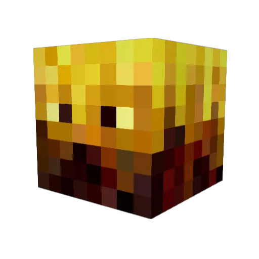 Blaze4489 Minecraft avatar head, 3D render