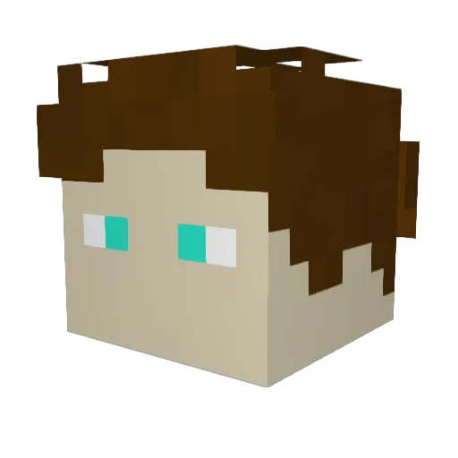 Blaze975 Minecraft avatar head, 3D render