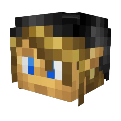 BlazeDragon1o0 Minecraft avatar head, 3D render