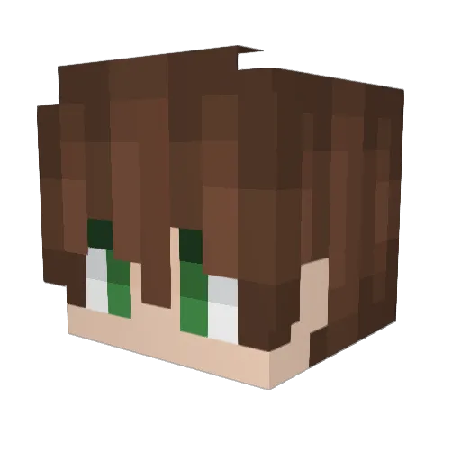 BlazeFreddy911 Minecraft avatar head, 3D render