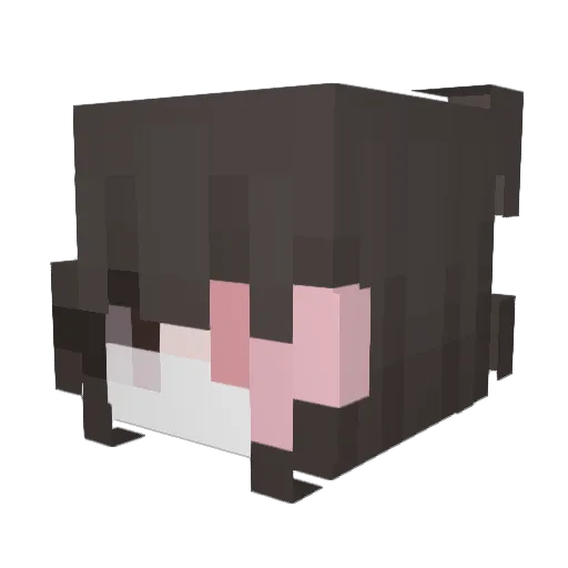 BlazeH0nest Minecraft avatar head, 3D render