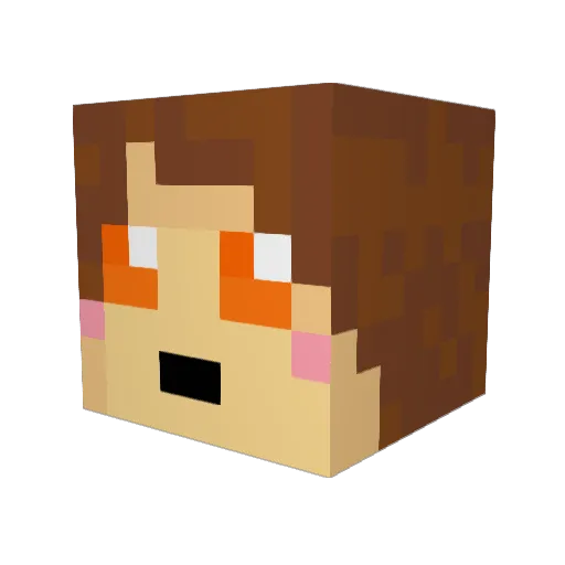 BlazeKitteh Minecraft avatar head, 3D render