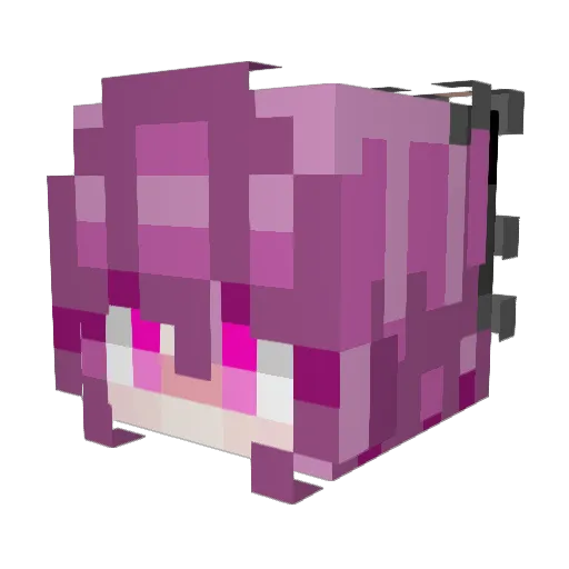 BlazeLovers Minecraft avatar head, 3D render