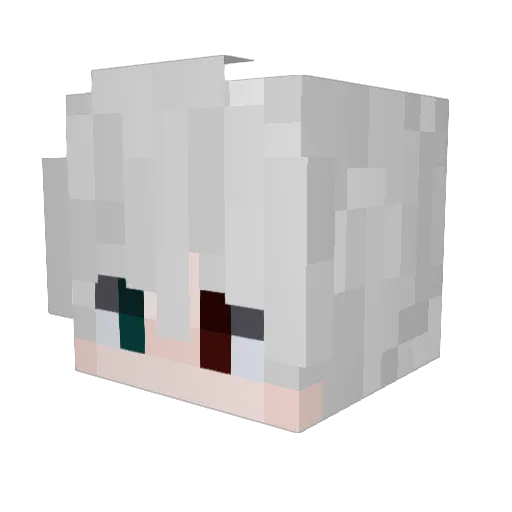 BlazePizza1073 Minecraft avatar head, 3D render
