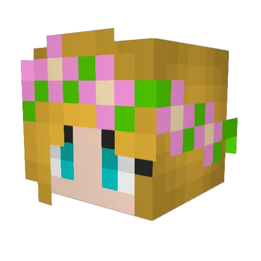 BlazeTheCat16 Minecraft avatar head, 3D render